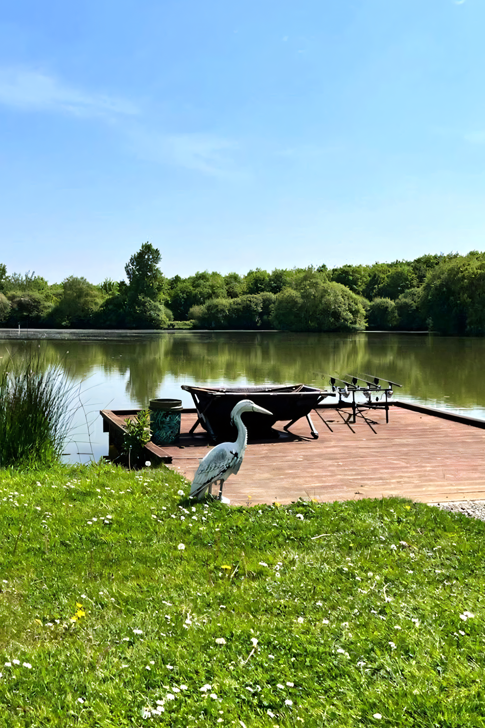 home book now 800x1200 upscayl 2x ultrasharp home book now 800x1200 upscayl 2x ultrasharp