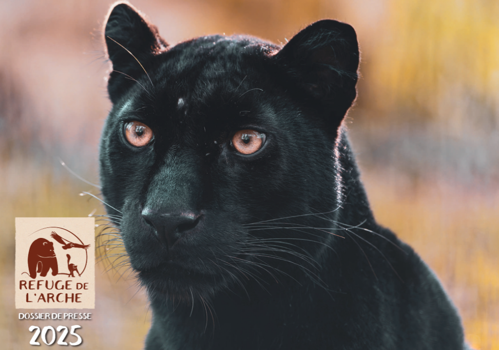 refuge de l'arche refuge de l'arche