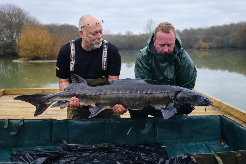 Etang_Fishing (66.1)